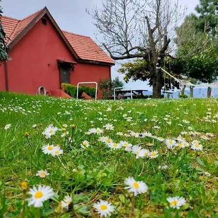 Sapientia Chalet