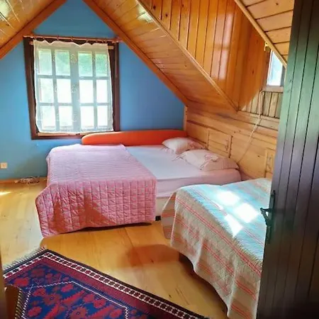 Sapientia Chalet Sapanca